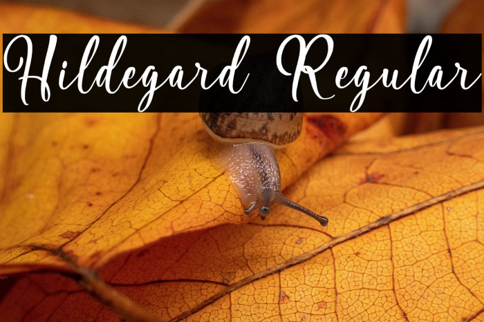 Hildegard Regular Example 3