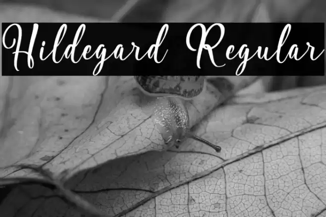 Hildegard Regular Font examples