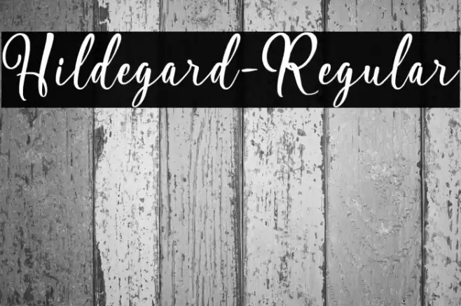 Hildegard-Regular Font examples