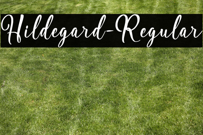 Hildegard-Regular Example 3