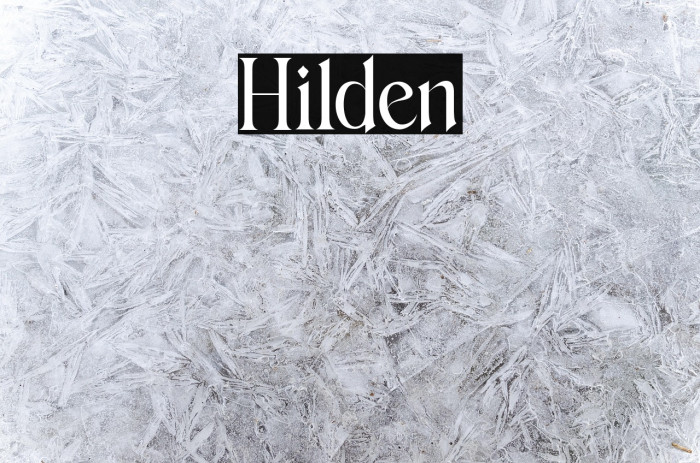 Hilden Example 1