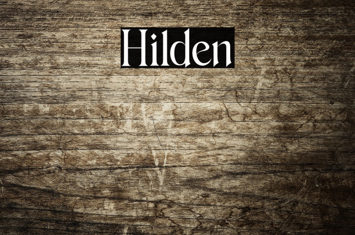 Hilden Example 2