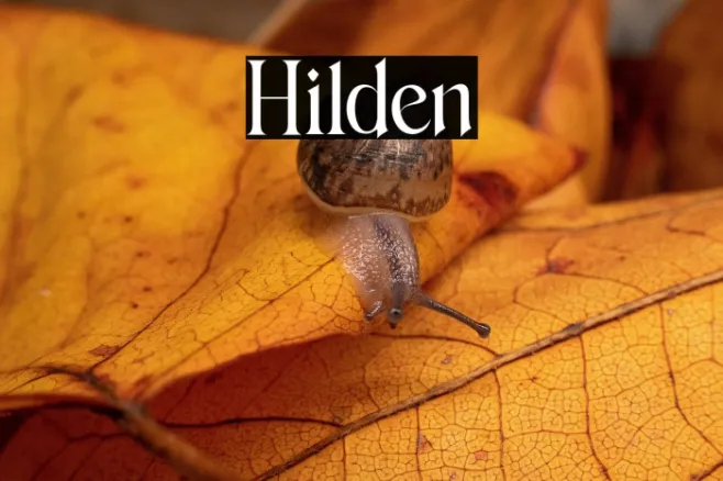 Hilden Example 3