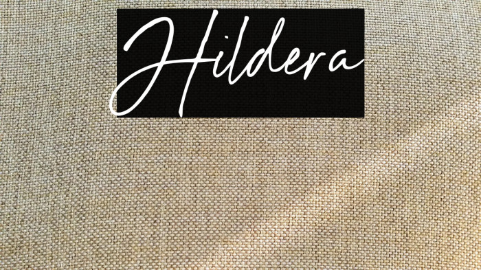 Hildera Example 1
