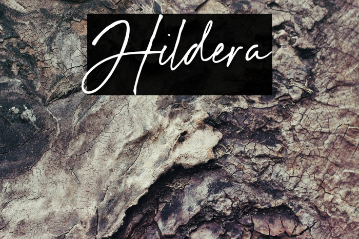 Hildera Example 2