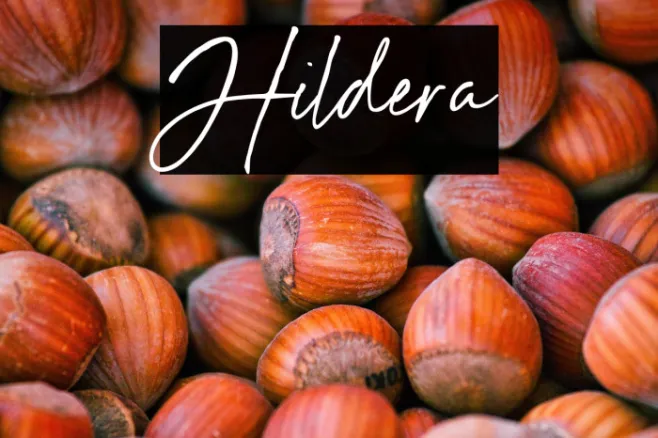 Hildera Example 3