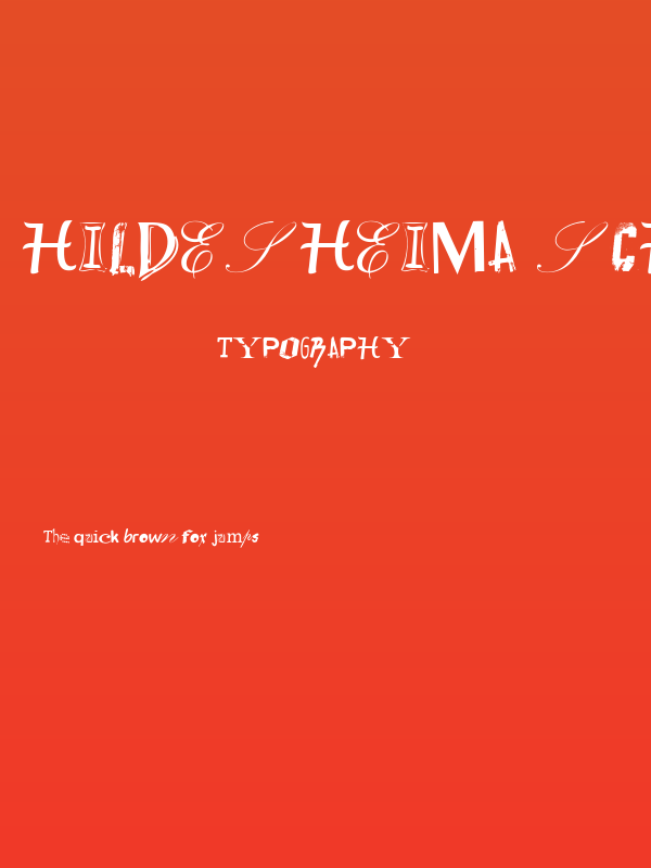 Hildesheima Schuhstrasse Poster