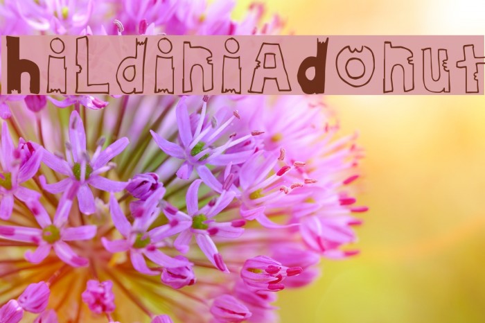 HildiniaDonut Font examples