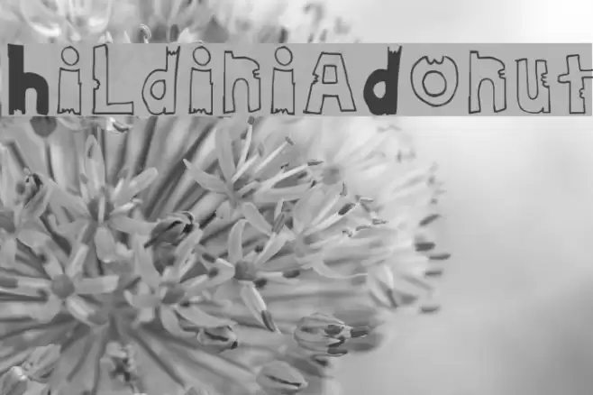 HildiniaDonut خط examples