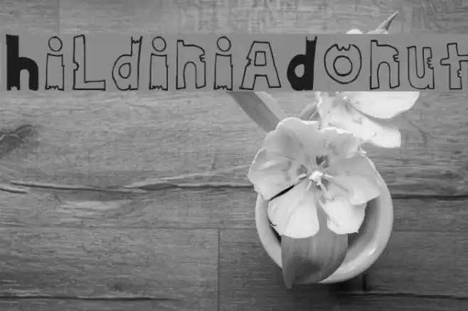 HildiniaDonut خط examples