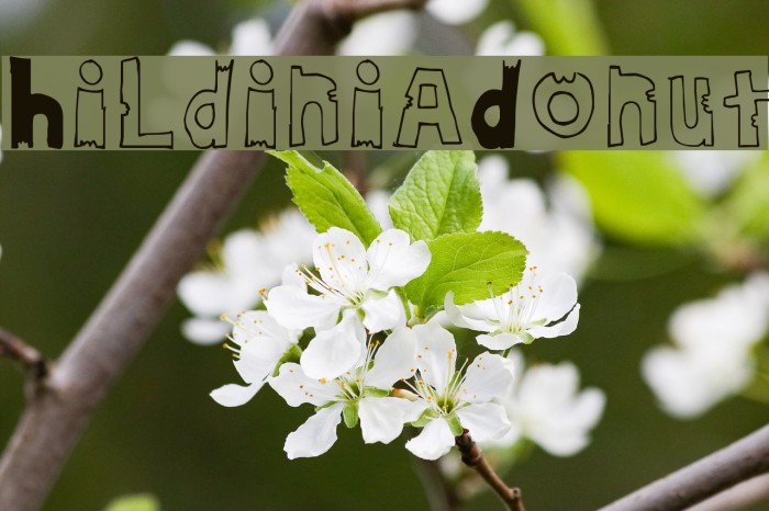 HildiniaDonut Font examples