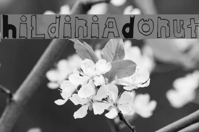 HildiniaDonut خط examples