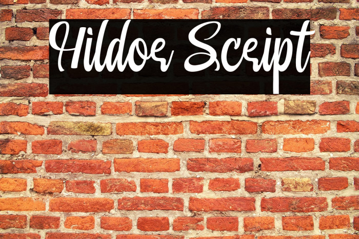 Hildor Script Example 1