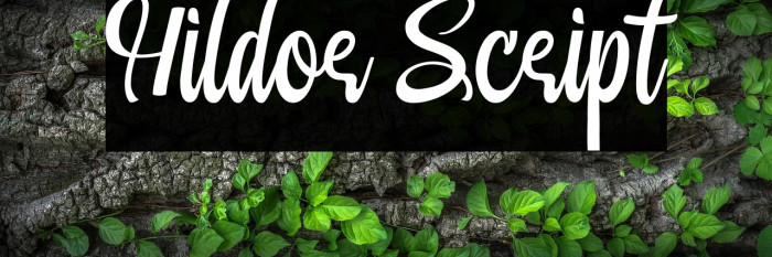 Hildor Script Example 2