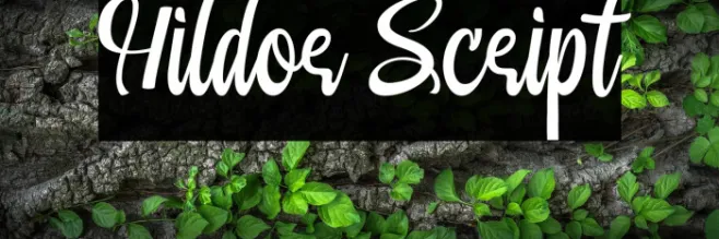 Hildor Script Example 2