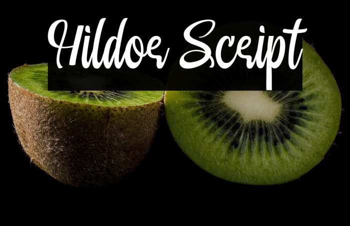 Hildor Script Example 3