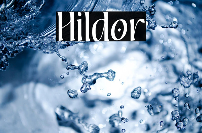 Hildor Example 1