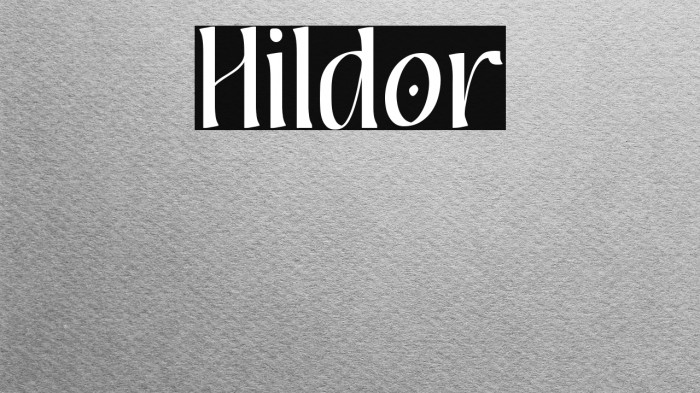 Hildor Example 2