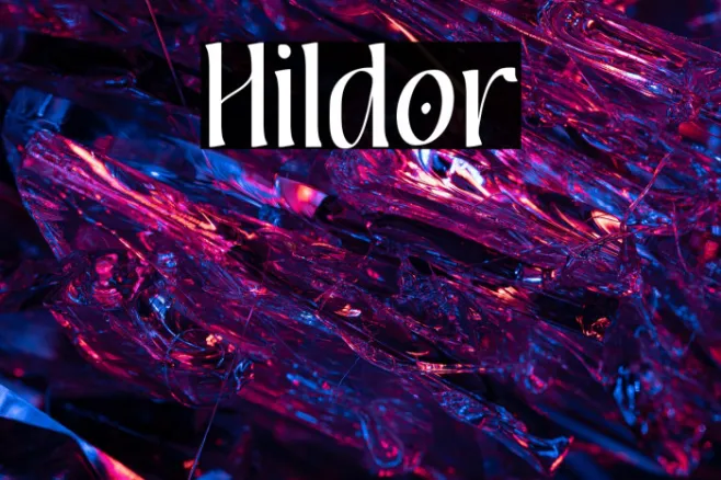 Hildor Example 3