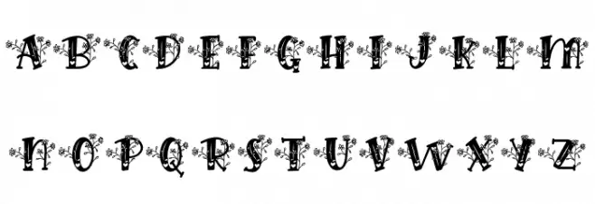 Hilens Flower Monogram Regular Шрифта строчной