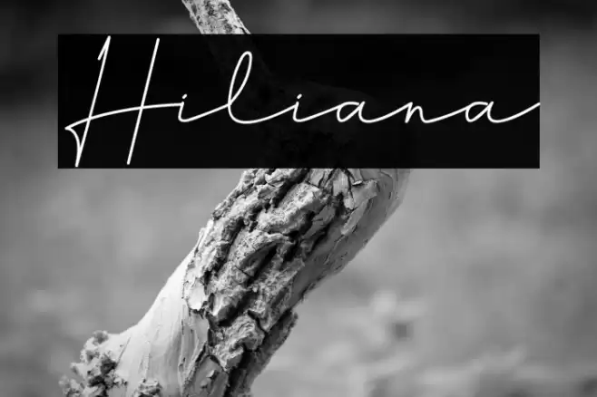 Hiliana Font examples