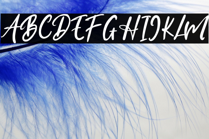 HillCollosal Example 3