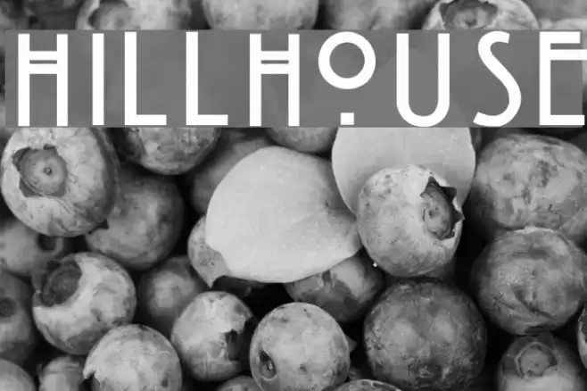 HillHouse Шрифта examples