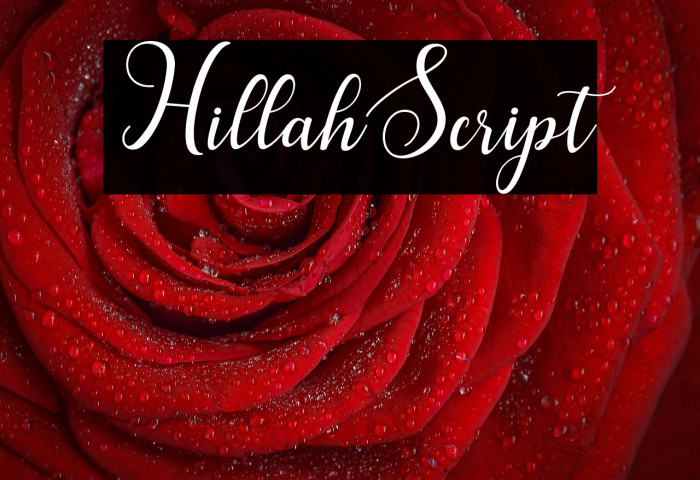 HillahScript Example 1