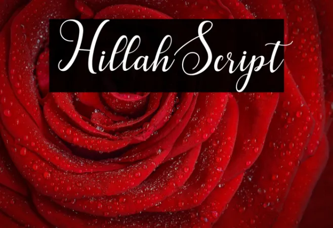 HillahScript Example 1
