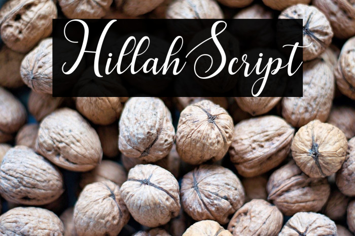 HillahScript Example 2