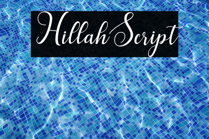 HillahScript Example 3