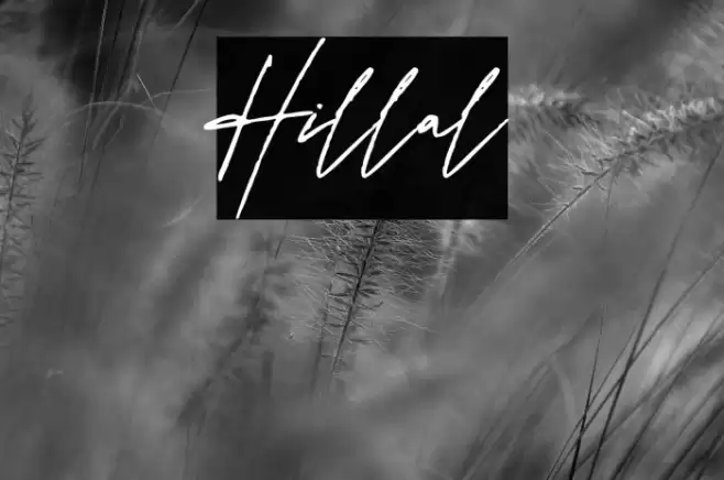 Hillal Font examples