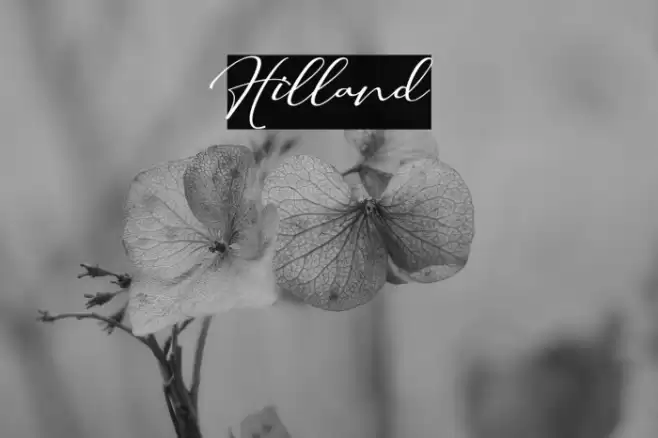 Hilland Font examples