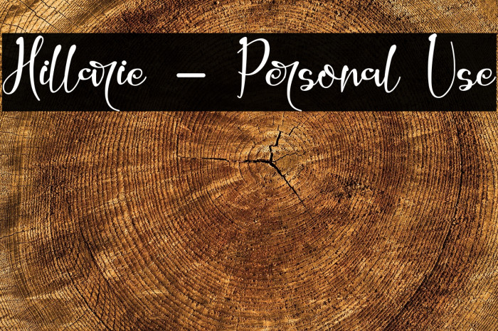 Hillarie - Personal Use Example 1