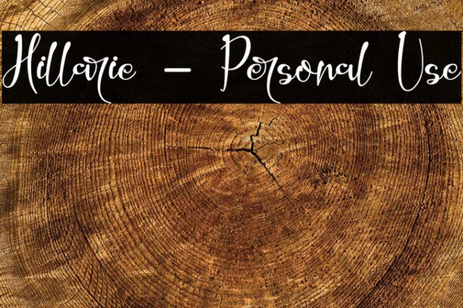 Hillarie - Personal Use Example 1