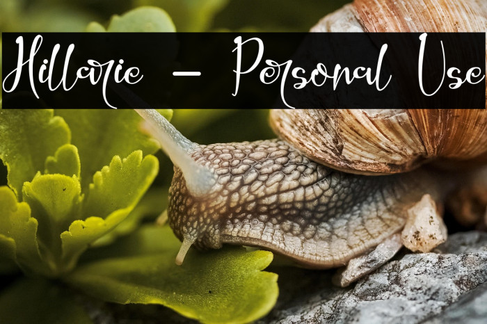 Hillarie - Personal Use Example 2