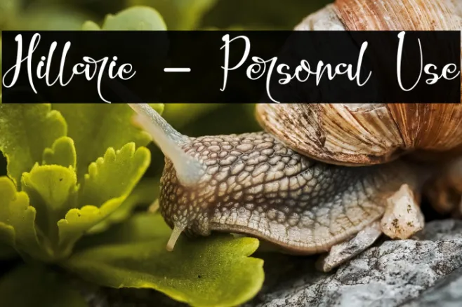 Hillarie - Personal Use Example 2