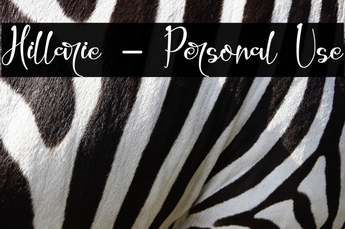 Hillarie - Personal Use Example 3