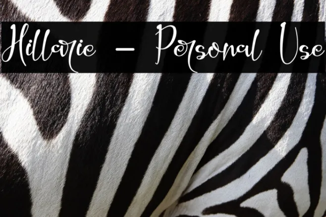 Hillarie - Personal Use Example 3