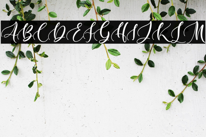 Hillary - Beauty and Lovely Fon Example 1