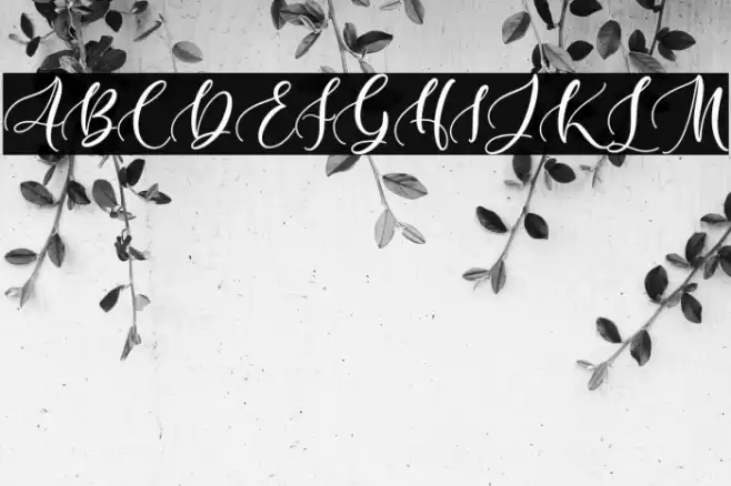 Hillary - Beauty and Lovely Fon Font examples