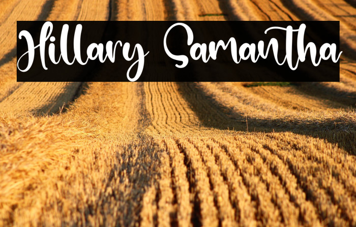 Hillary Samantha Example 3