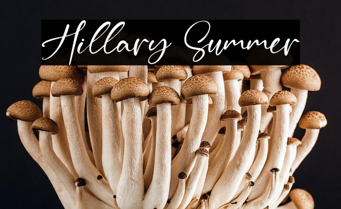 Hillary Summer Example 2