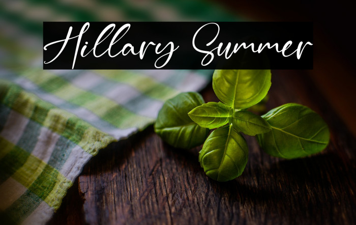 Hillary Summer Example 3