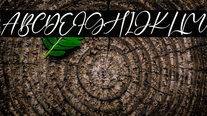 HillarySummer Example 3