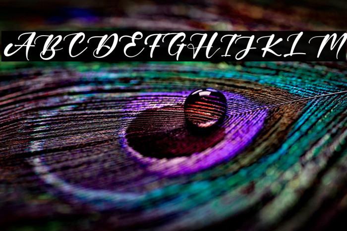 HillaryYouth Example 2