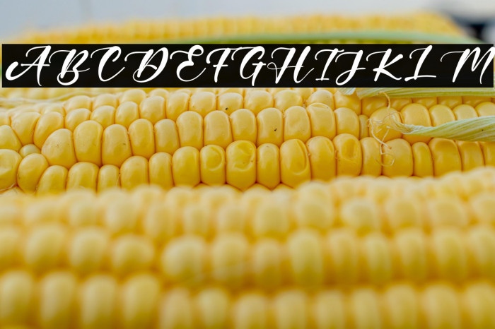 HillaryYouth Example 3