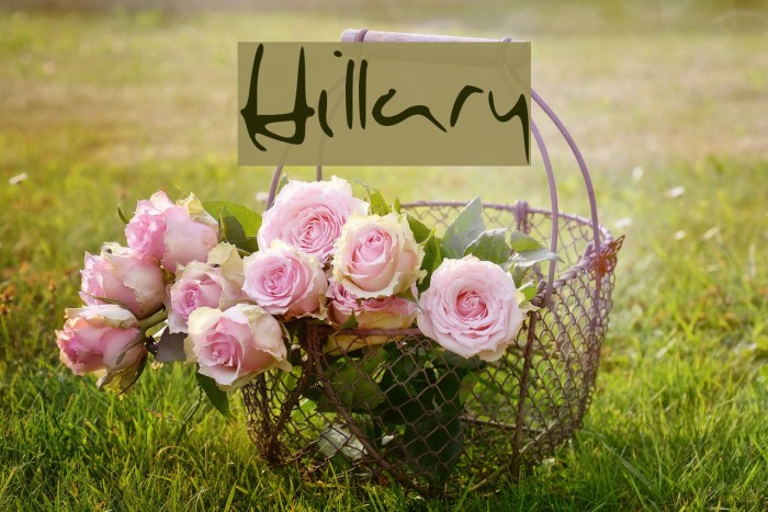 Hillary Font examples