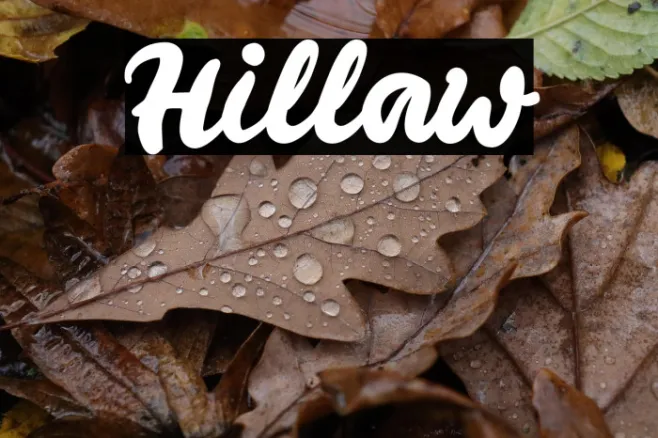 Hillaw Example 2