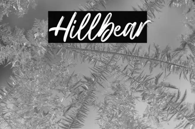 Hillbear Font examples
